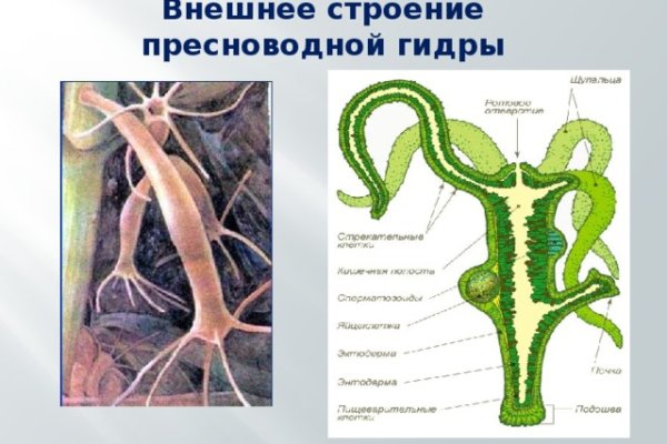 Почему в кракене пользователь не найден