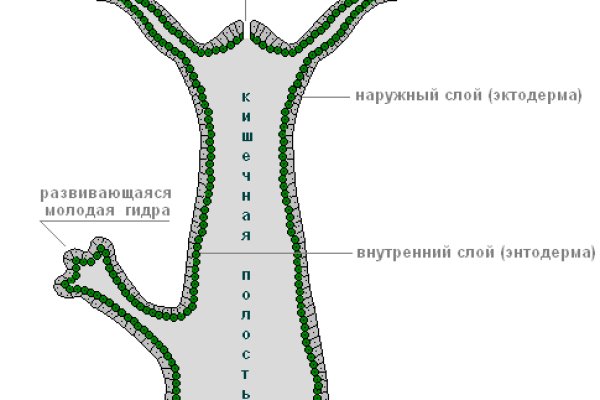 Кракен это что за магазин