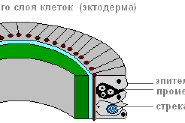 Кракен маркетплейс что продают