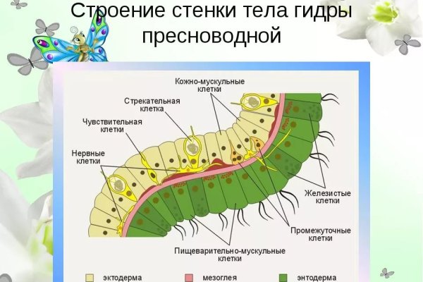 Кракен браузер ссылка