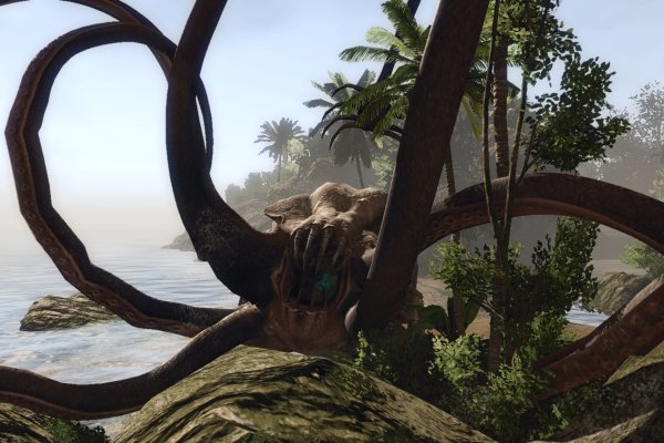 Kraken forum