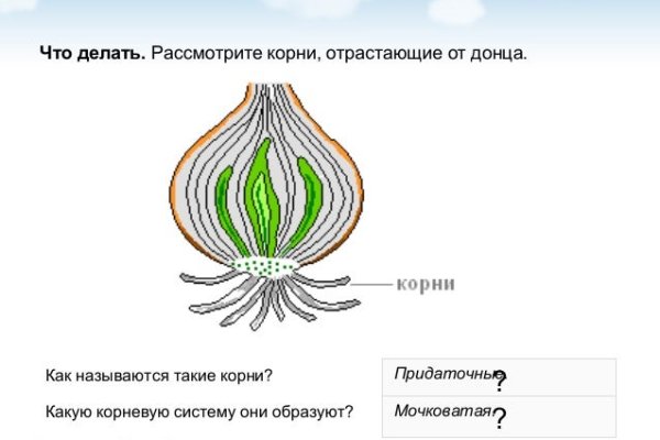 Как зайти на кракен с компа